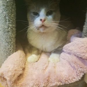 Meet your Posher, Johanna